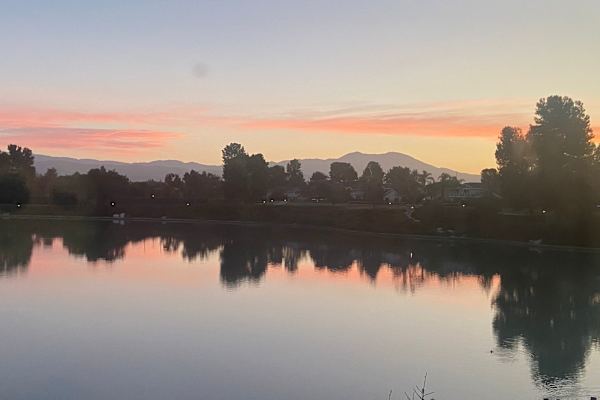 House sit in Irvine, CA, US