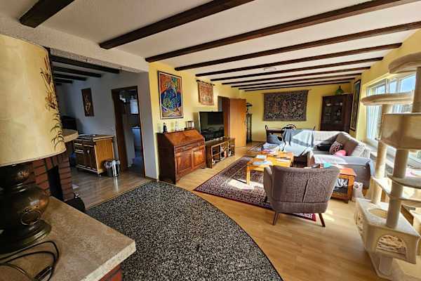 House sit in Idar-Oberstein, Germany