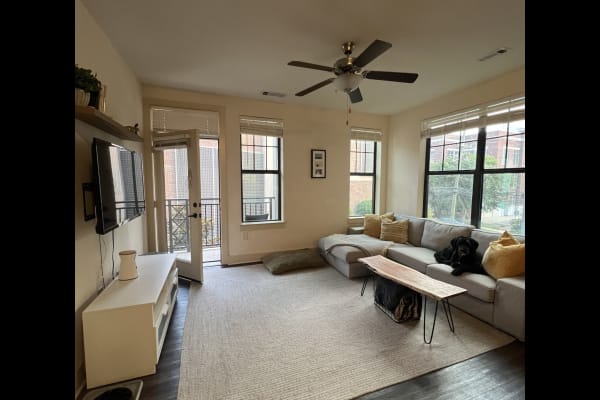 House sit in Charlotte, NC, US