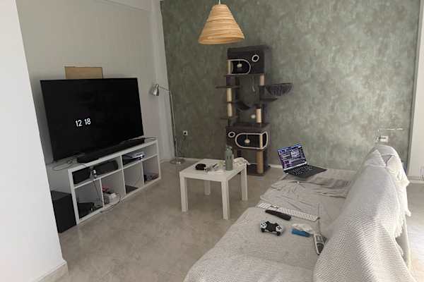 House sit in Sevilla, Spain