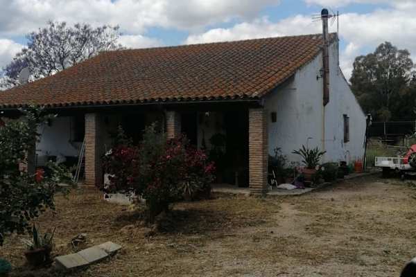 House sit in Jimena de la Frontera, Spain