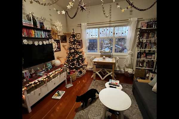 House sit in Victoria, BC, Canada