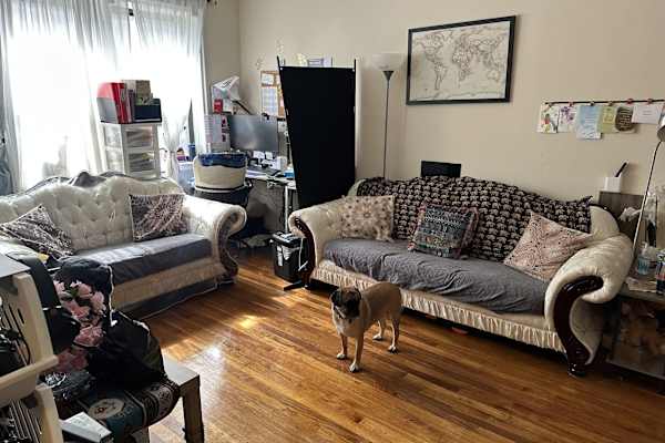 House sit in Mount Vernon, NY, US