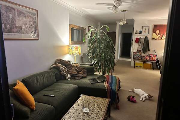 House sit in Sydney, NSW, Australia