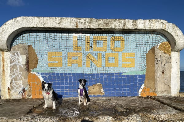 House sit in Margate, United Kingdom