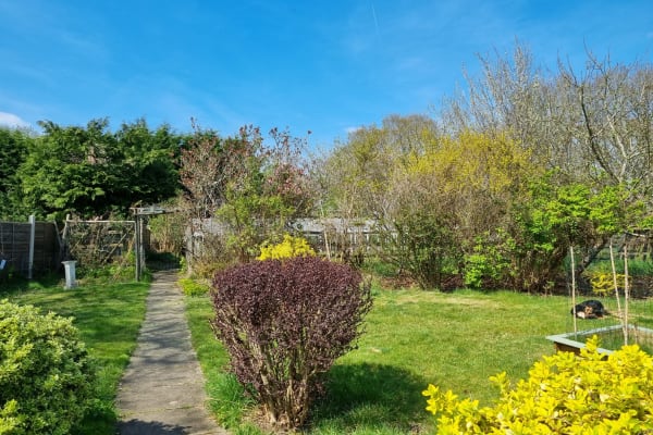 House sit in Kingsley, United Kingdom