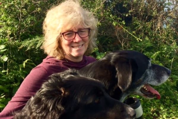 House sit in Barnstaple, United Kingdom