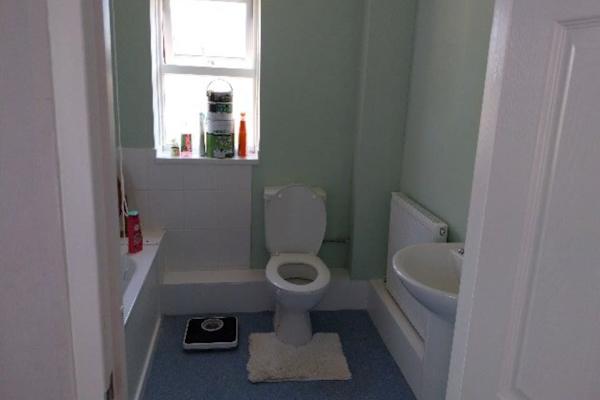 House sit in East Dereham, United Kingdom