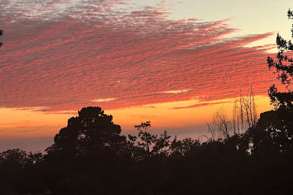 House sit in Aptos, CA, US
