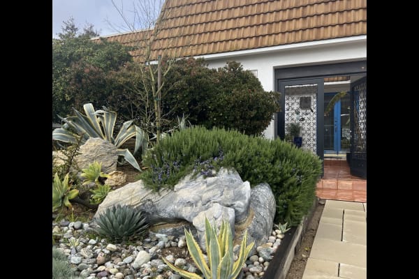 House sit in Topanga, CA, US