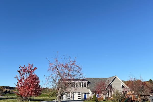 House sit in Bristol, VT, US