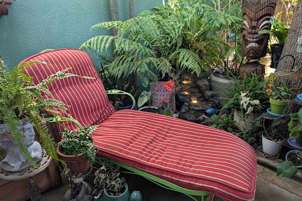 House sit in Los Angeles, CA, US