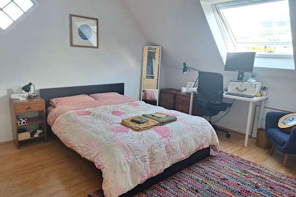 House sit in Sydney, NSW, Australia