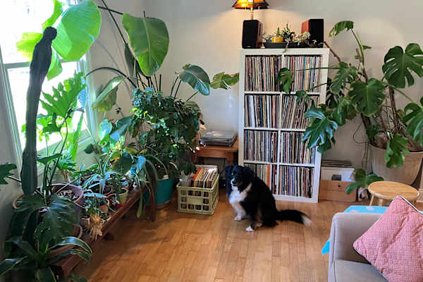 House sit in Atlanta, GA, US