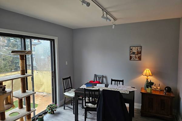 House sit in Toronto, ON, Canada