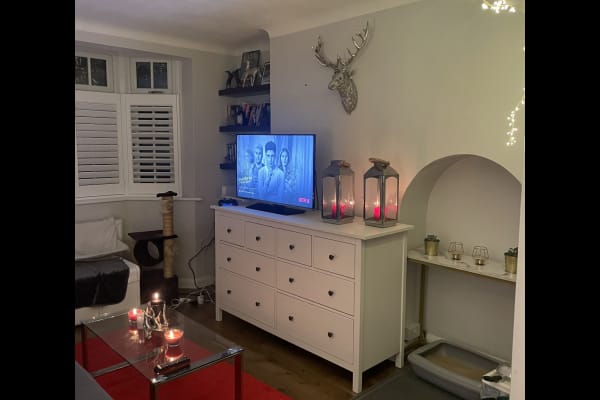 House sit in London, United Kingdom