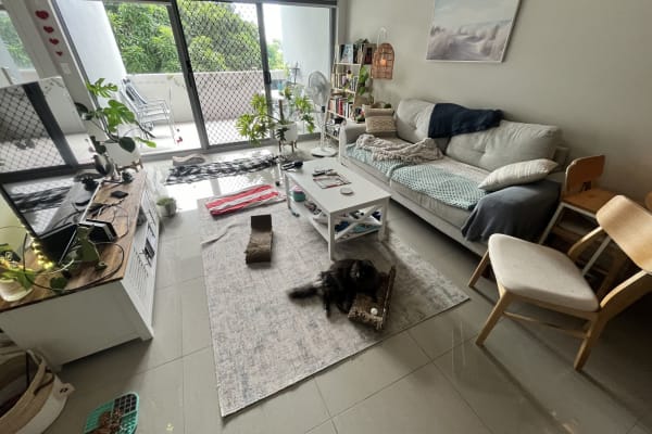 House sit in Nundah, QLD, Australia