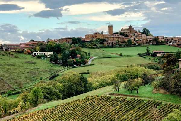 House sit in Le Bois-d'Oingt, France