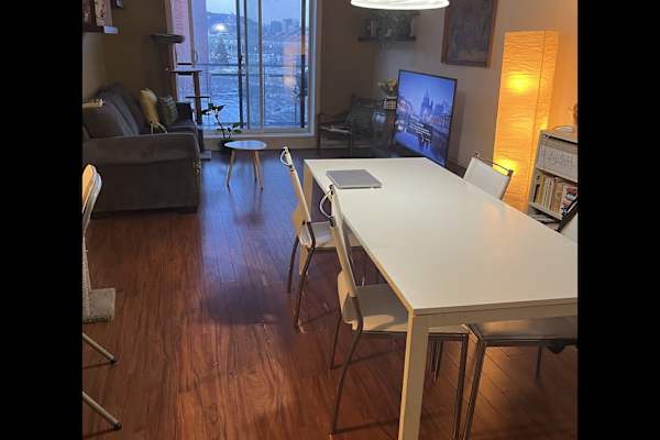 House sit in Montréal, QC, Canada