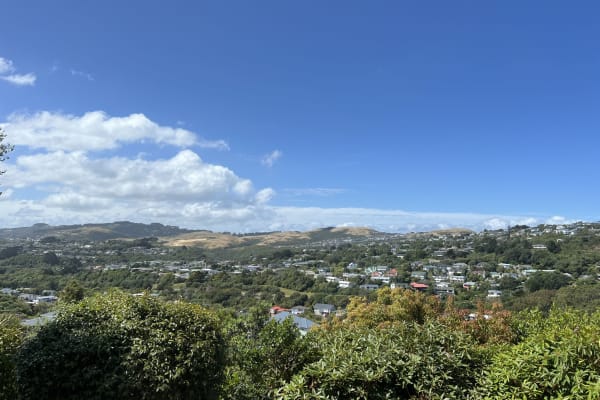 House sit in Wellington, New Zealand