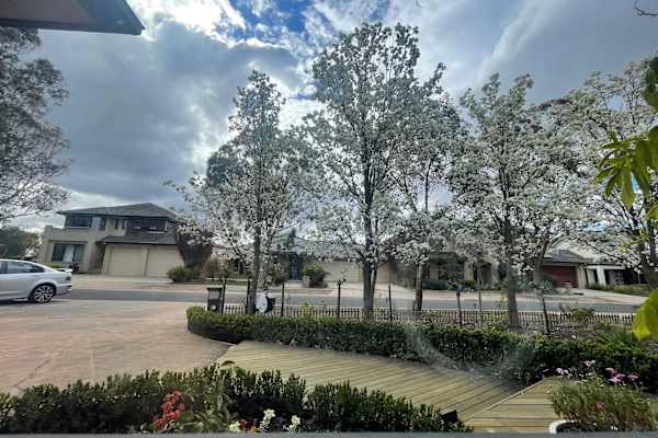 House sit in Melbourne, VIC, Australia