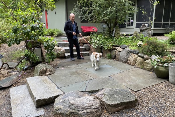 House sit in Lexington, MA, US
