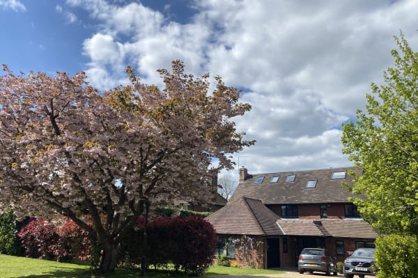 House sit in Langton Green, United Kingdom