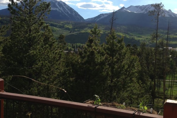 House sit in Silverthorne, CO, US