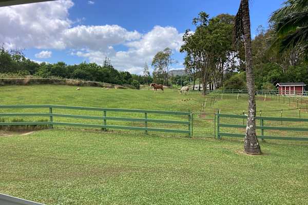 House sit in Haiku-Pauwela, HI, US