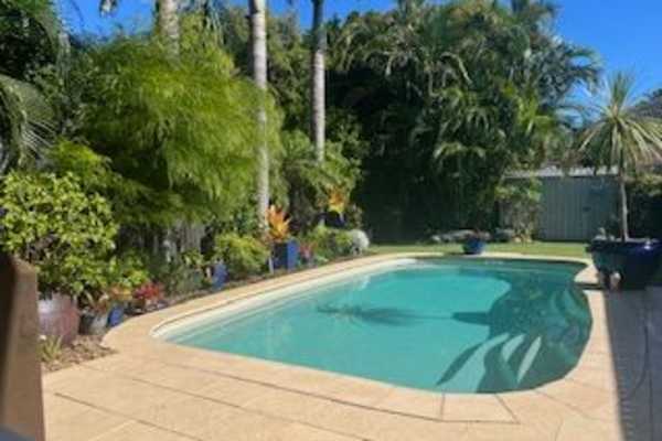 House sit in Brisbane, QLD, Australia