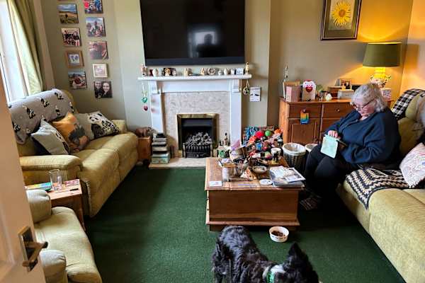 House sit in Annan, United Kingdom