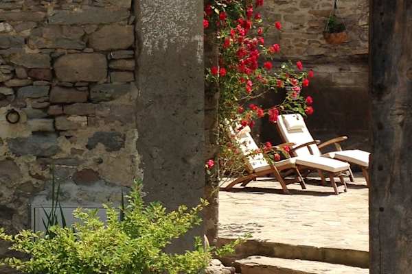 House sit in La Pardina, Spain