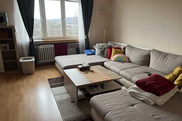 House sit in Prague, Czech Republic
