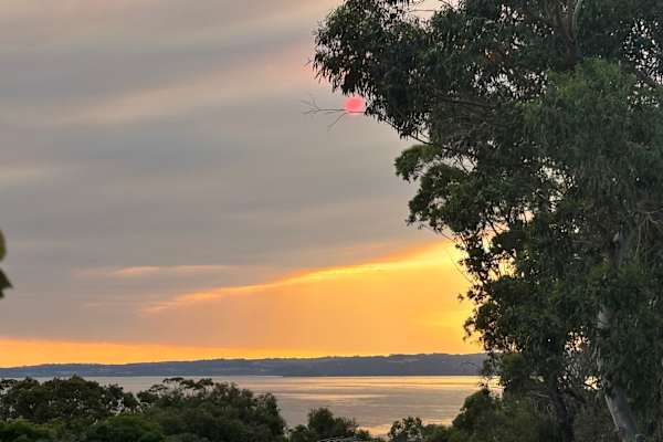 House sit in Flinders, VIC, Australia