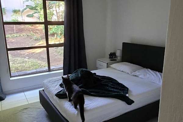 House sit in Johannesburg, South Africa