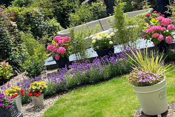 House sit in Swayfield, United Kingdom