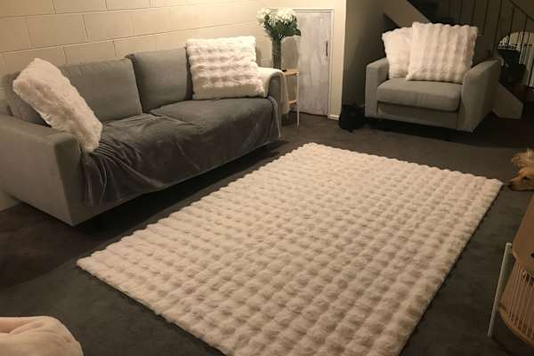 House sit in Christchurch, New Zealand