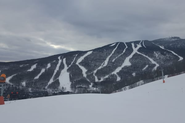 House sit in Stowe, VT, US