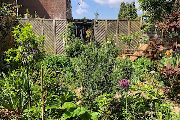 House sit in Brixton Hill, United Kingdom