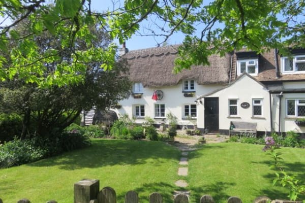 House sit in Lymington, United Kingdom