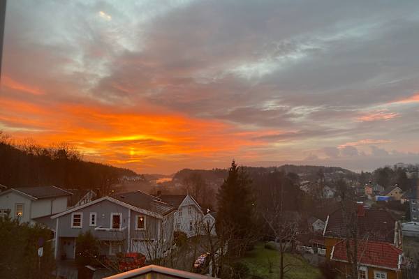 House sit in Sandefjord, Norway