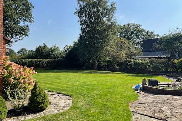 House sit in Horley, United Kingdom