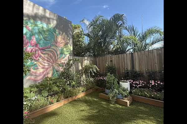 House sit in Brisbane, QLD, Australia