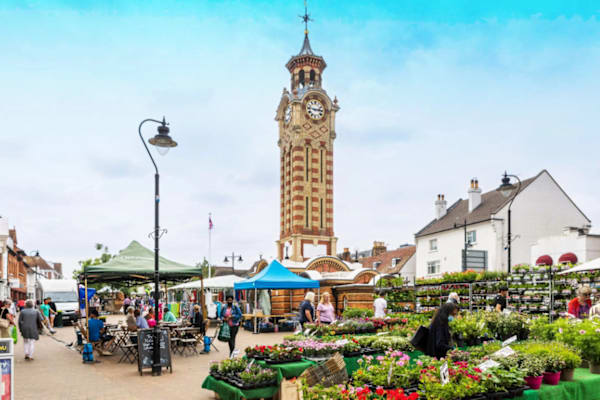 House sit in Epsom, United Kingdom