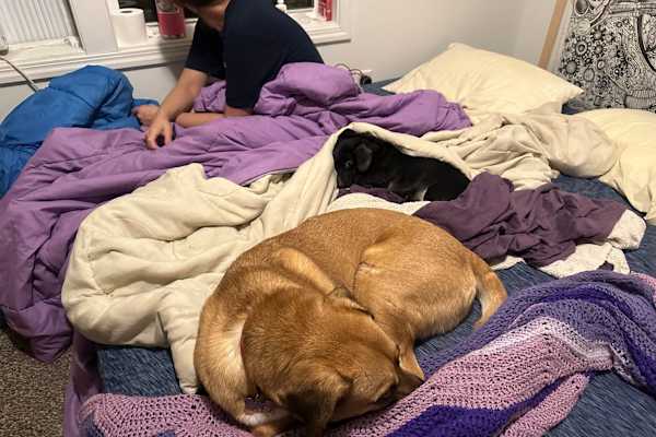 House sit in Stone Ridge, NY, US