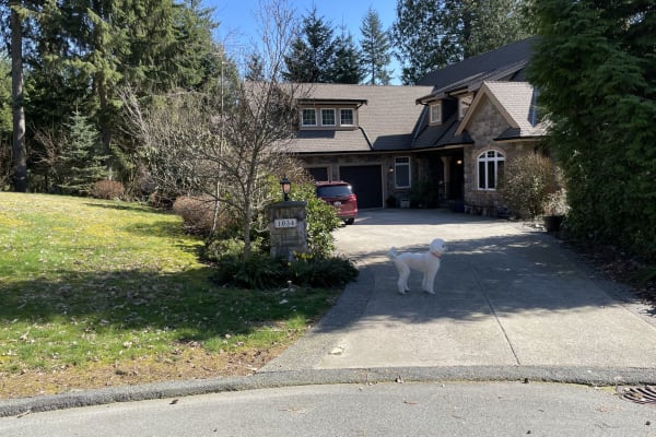 House sit in Port Moody, BC, Canada