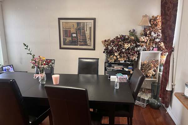 House sit in Medford, MA, US