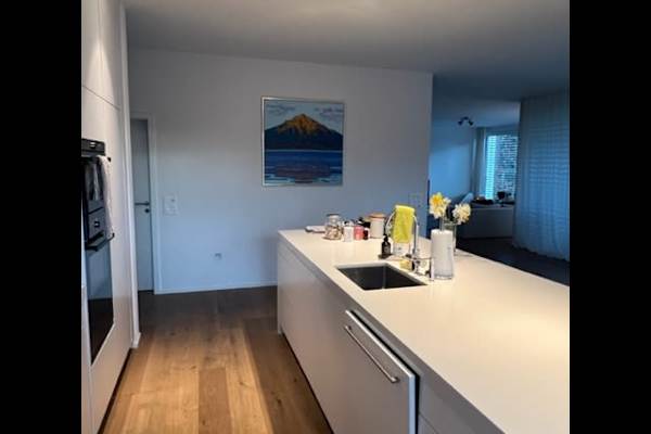 House sit in Basel, Switzerland