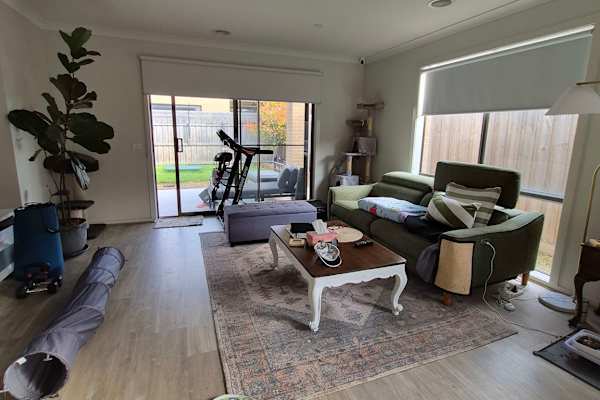 House sit in Geelong, VIC, Australia