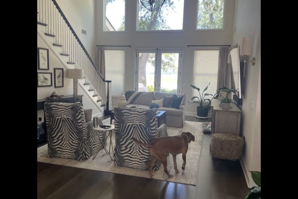 House sit in Beaufort, SC, US